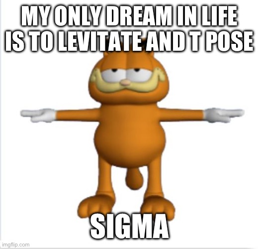 garfield t-pose | MY ONLY DREAM IN LIFE IS TO LEVITATE AND T POSE; SIGMA | image tagged in garfield t-pose | made w/ Imgflip meme maker
