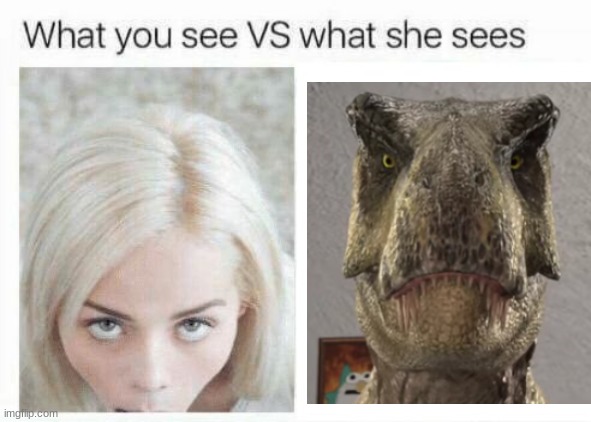 What you see vs what she sees | image tagged in what you see vs what she sees,jurassic park,jurassic world | made w/ Imgflip meme maker