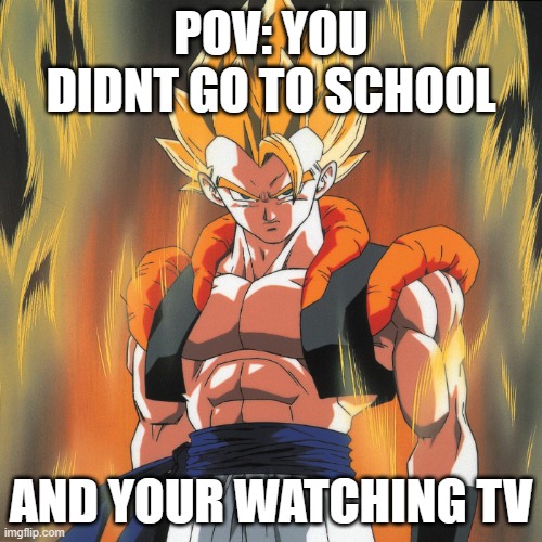 DBZ Gogeta | POV: YOU DIDNT GO TO SCHOOL; AND YOUR WATCHING TV | image tagged in dbz gogeta | made w/ Imgflip meme maker