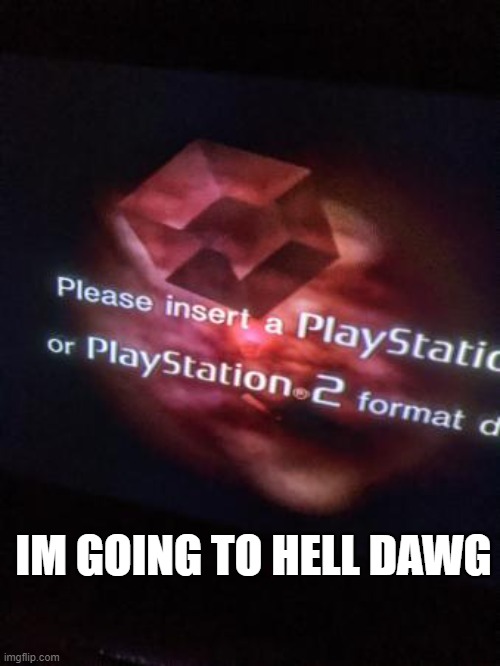 IM GOING TO HELL DAWG | image tagged in ps2 | made w/ Imgflip meme maker