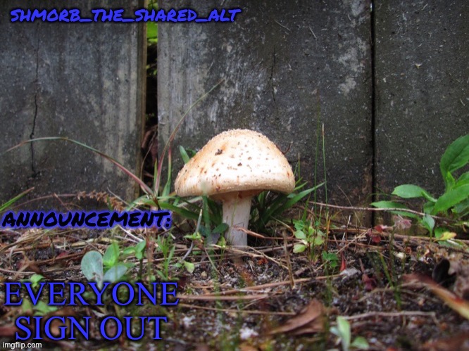 Shmorb temp | EVERYONE SIGN OUT | image tagged in shmorb temp | made w/ Imgflip meme maker