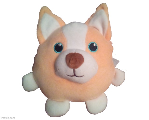 Corgibol plush | image tagged in corgibol plush | made w/ Imgflip meme maker