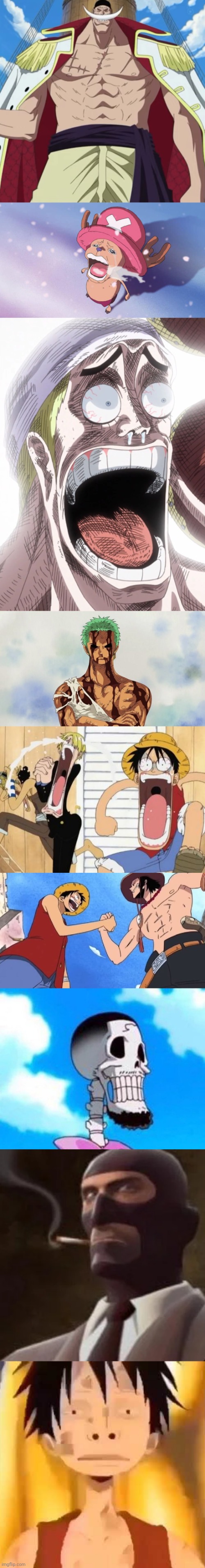 The One Piece is real | image tagged in the one piece is real,crying chopper one piece,one piece enel shocked,zoro,one piece,one piece handshake | made w/ Imgflip meme maker