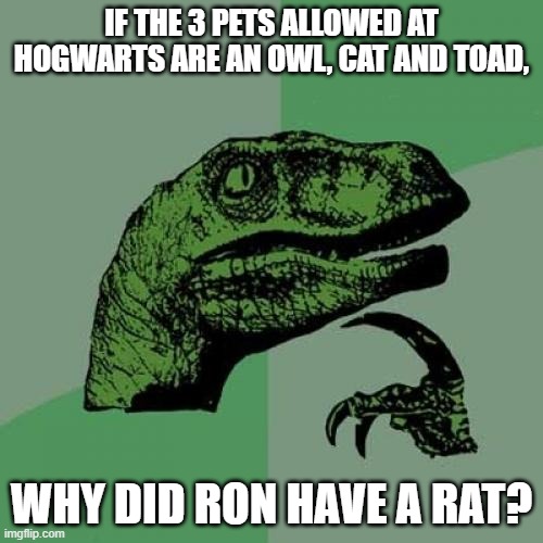 Philosoraptor | IF THE 3 PETS ALLOWED AT HOGWARTS ARE AN OWL, CAT AND TOAD, WHY DID RON HAVE A RAT? | image tagged in memes,philosoraptor | made w/ Imgflip meme maker
