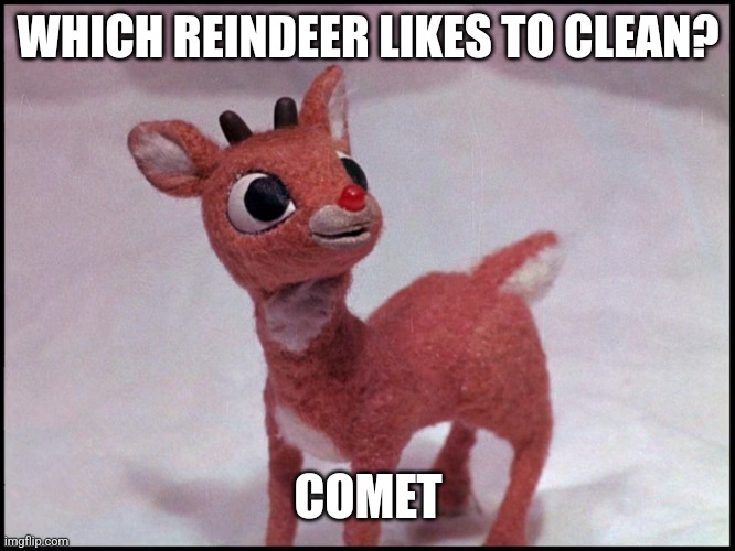 Daily Bad Dad Joke December 22,2023 | WHICH REINDEER LIKES TO CLEAN? COMET | image tagged in reindeer | made w/ Imgflip meme maker