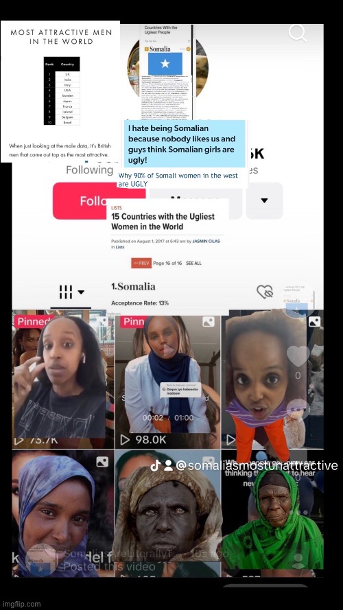 Lovelypink824 Somalians are literally considered the most ugliest unattractive Africans in Africa and the world | image tagged in black,african,ugly,ugly girl,ugly woman | made w/ Imgflip meme maker