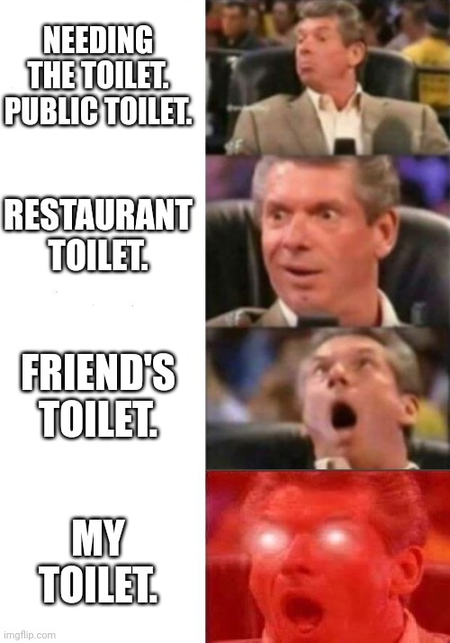 Mr. McMahon reaction | NEEDING THE TOILET. PUBLIC TOILET. RESTAURANT TOILET. FRIEND'S TOILET. MY TOILET. | image tagged in mr mcmahon reaction | made w/ Imgflip meme maker