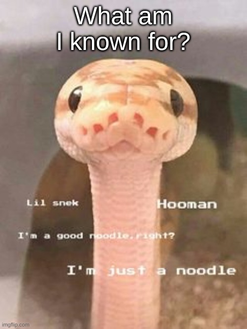 snek | What am I known for? | image tagged in snek | made w/ Imgflip meme maker