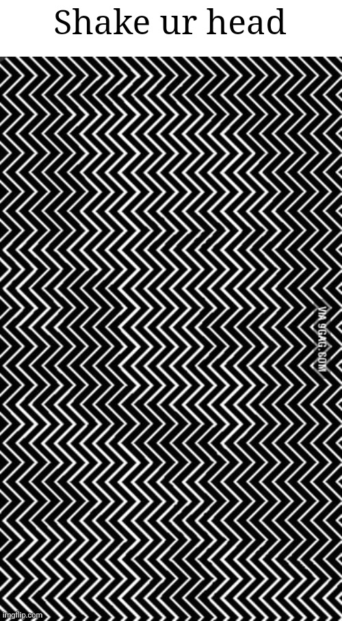 Shake ur head | made w/ Imgflip meme maker