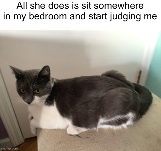 She even stares at me while I take a shower (she’s a creep but she’s cute) | All she does is sit somewhere in my bedroom and start judging me | image tagged in cats,staring | made w/ Imgflip meme maker