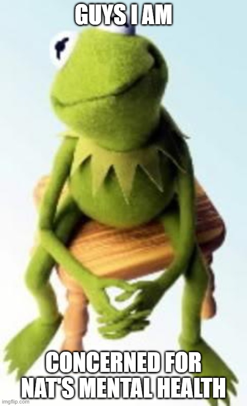 Concerned Kermit | GUYS I AM; CONCERNED FOR NAT'S MENTAL HEALTH | image tagged in concerned kermit,do you have stupid | made w/ Imgflip meme maker