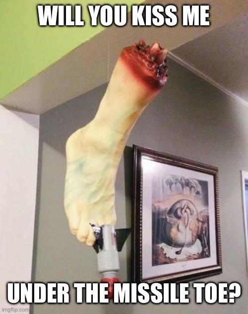 Kiss? | WILL YOU KISS ME; UNDER THE MISSILE TOE? | image tagged in kiss,missile,toe,mistletoe | made w/ Imgflip meme maker