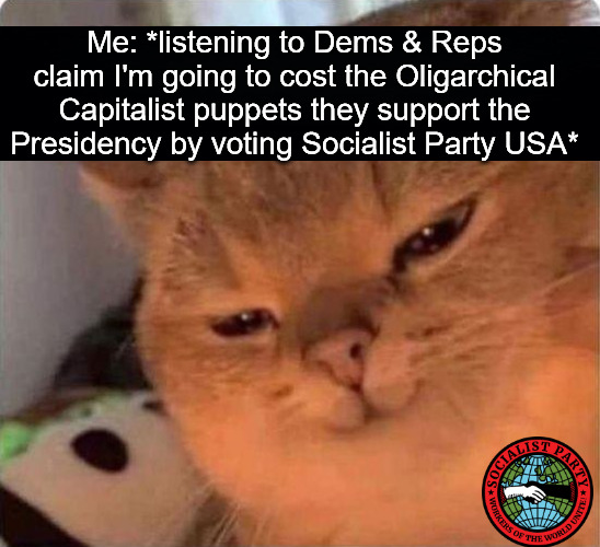 Oligarchy Is Not Democratic | Me: *listening to Dems & Reps claim I'm going to cost the Oligarchical Capitalist puppets they support the Presidency by voting Socialist Party USA* | image tagged in oligarchy,capitalists,socialist party usa,socialist,protest vote | made w/ Imgflip meme maker