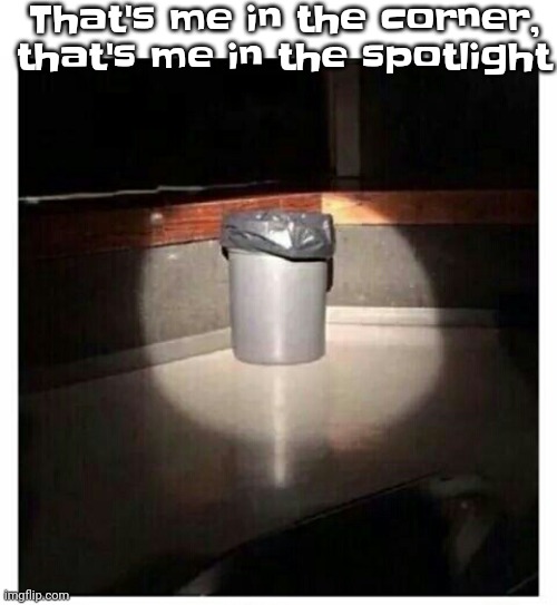 The | That's me in the corner, that's me in the spotlight | image tagged in trashcan | made w/ Imgflip meme maker