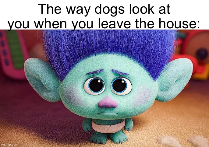 It’s so sad to hear them whimper as you close the door | The way dogs look at you when you leave the house: | image tagged in dogs,memes,sad | made w/ Imgflip meme maker