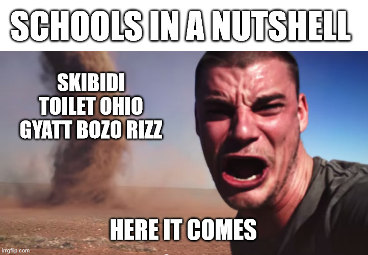 I hate all of these words, can we just ban them in schools? | SCHOOLS IN A NUTSHELL; SKIBIDI TOILET OHIO GYATT BOZO RIZZ; HERE IT COMES | image tagged in here it comes,stupidity,why tho,annoying people,trends | made w/ Imgflip meme maker