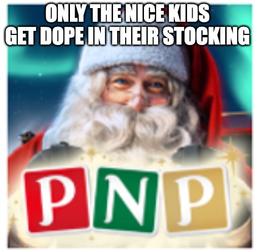 ONLY THE NICE KIDS GET DOPE IN THEIR STOCKING | image tagged in dope,stocking,pnp,psychonaut,drugs,christmas | made w/ Imgflip meme maker