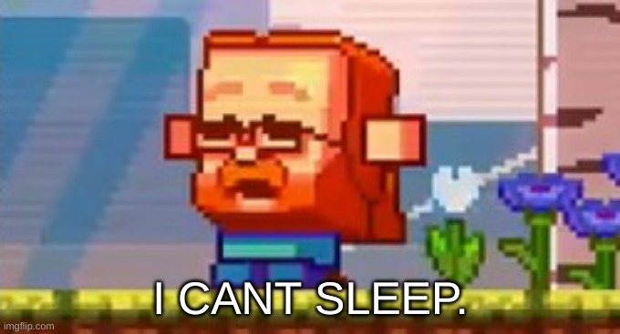 Jeb screaming no | I CANT SLEEP. | image tagged in jeb screaming no | made w/ Imgflip meme maker