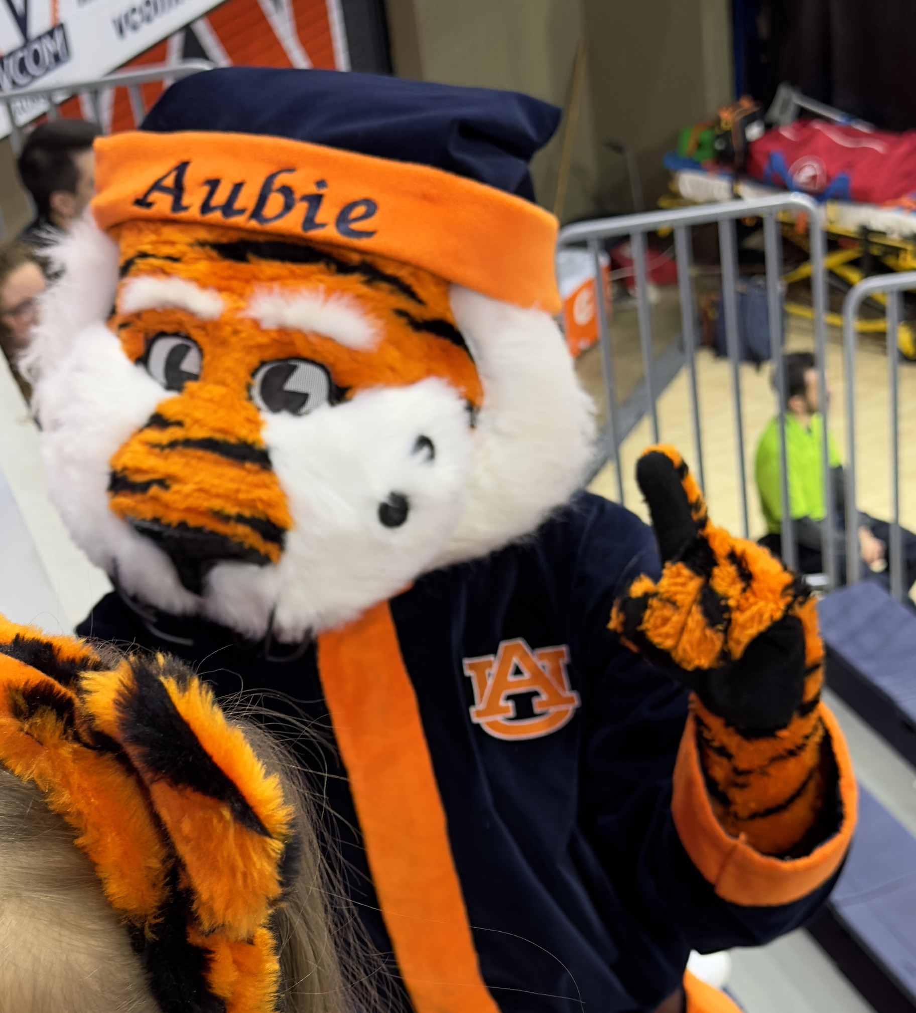 Aubie FU Blank Meme Template