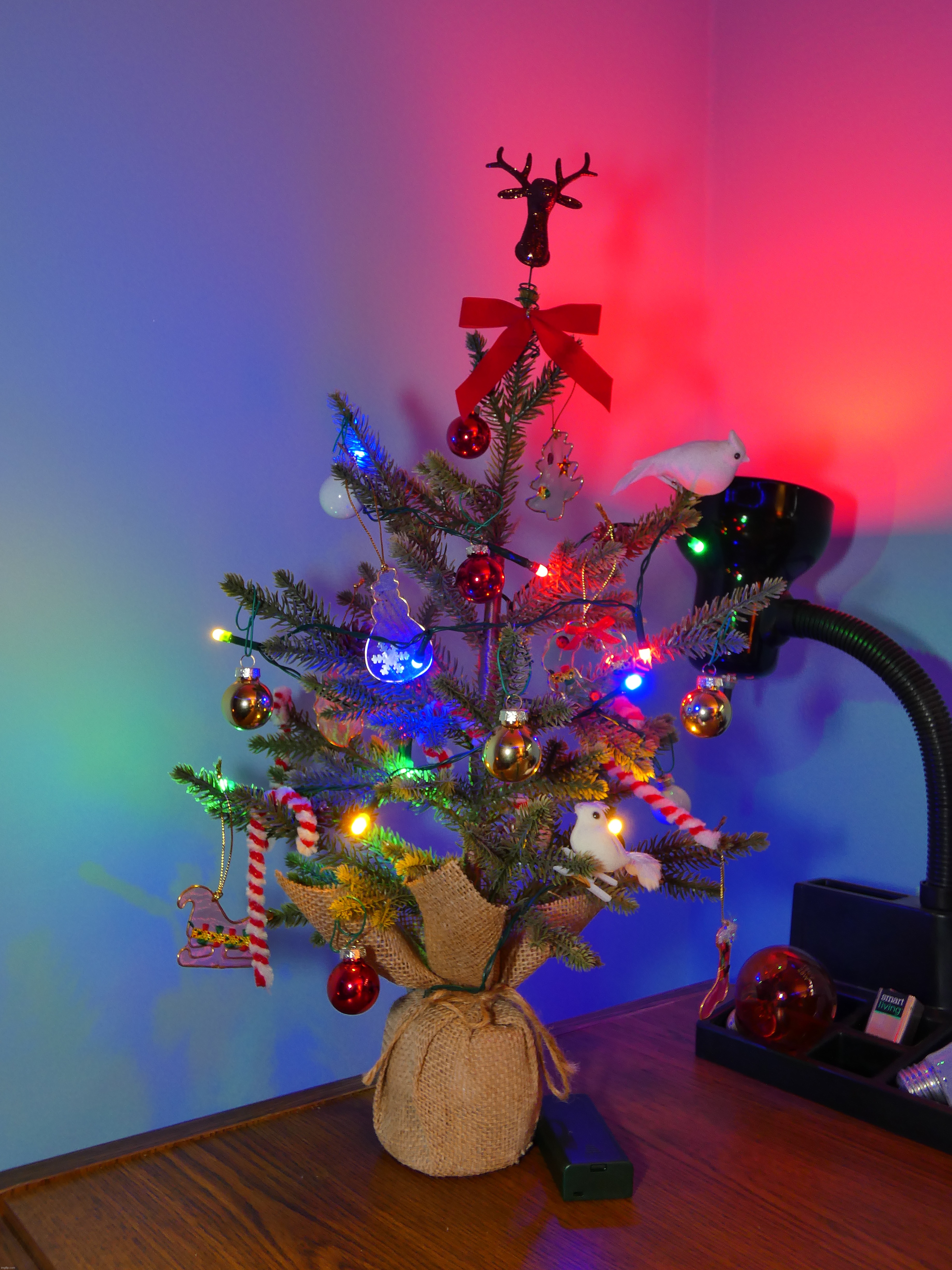 This is my mini Christmas tree that I have in my room :D (big tree reveal this weekend hopefully) | image tagged in share your own photos,photography | made w/ Imgflip meme maker