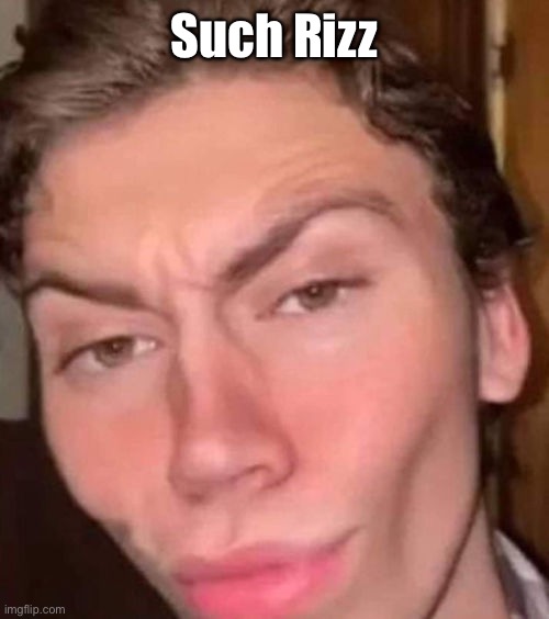 Rizz | Such Rizz | image tagged in rizz | made w/ Imgflip meme maker