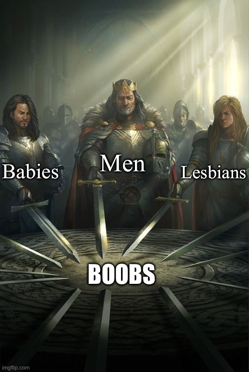 What unites them? | Men; Babies; Lesbians; BOOBS | image tagged in knights of the round table,boobs,babies,men,lesbians | made w/ Imgflip meme maker