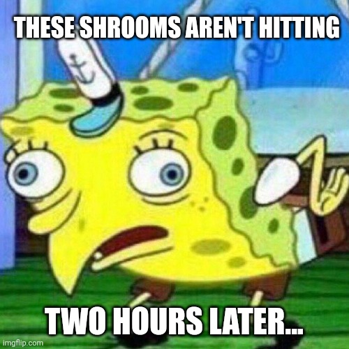 triggerpaul | THESE SHROOMS AREN'T HITTING; TWO HOURS LATER... | image tagged in triggerpaul | made w/ Imgflip meme maker