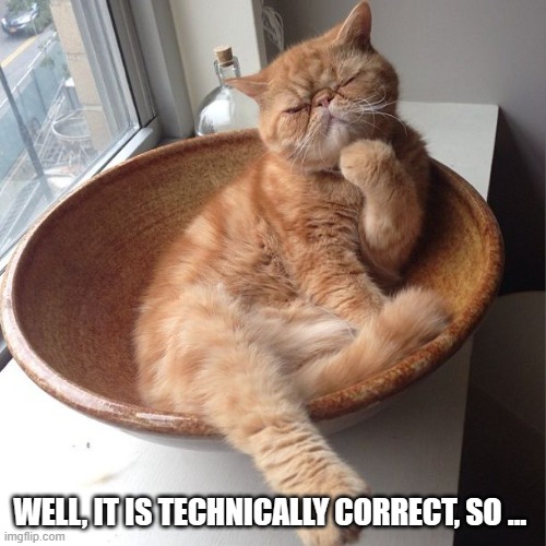Wondering cat | WELL, IT IS TECHNICALLY CORRECT, SO … | image tagged in wondering cat | made w/ Imgflip meme maker