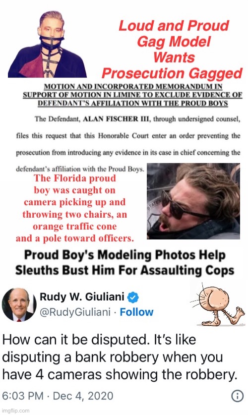 Gag model behavior | image tagged in domestic terrorists,assault,film at 11,not so proud afterall | made w/ Imgflip meme maker