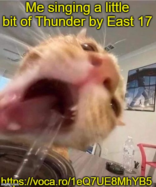 blahhhhhhhh | Me singing a little bit of Thunder by East 17; https://voca.ro/1eQ7UE8MhYB5 | image tagged in blahhhhhhhh | made w/ Imgflip meme maker