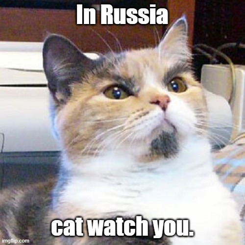 In Russia cat watch you. | made w/ Imgflip meme maker