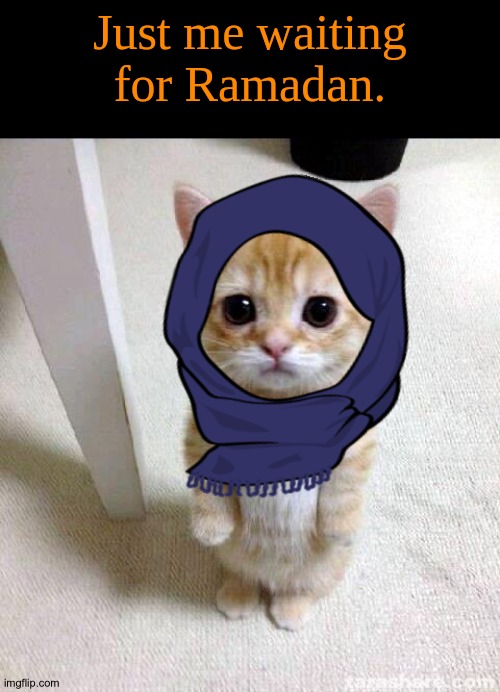 I'm patiently waiting. | Just me waiting for Ramadan. | image tagged in memes,cute cat,ramadan,islam | made w/ Imgflip meme maker