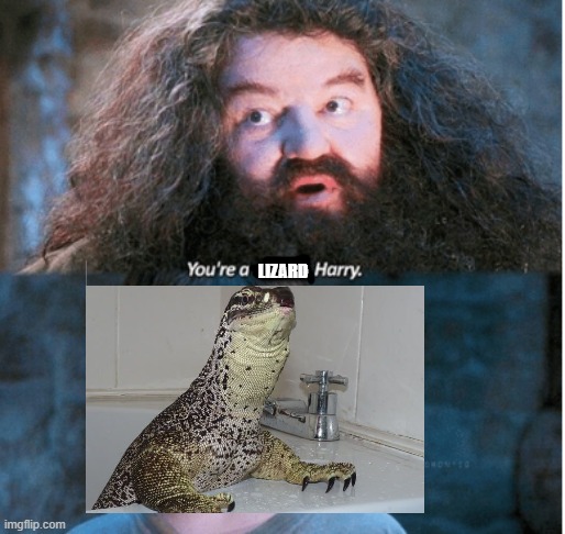 Plot twist | LIZARD | image tagged in you're a wizard harry | made w/ Imgflip meme maker