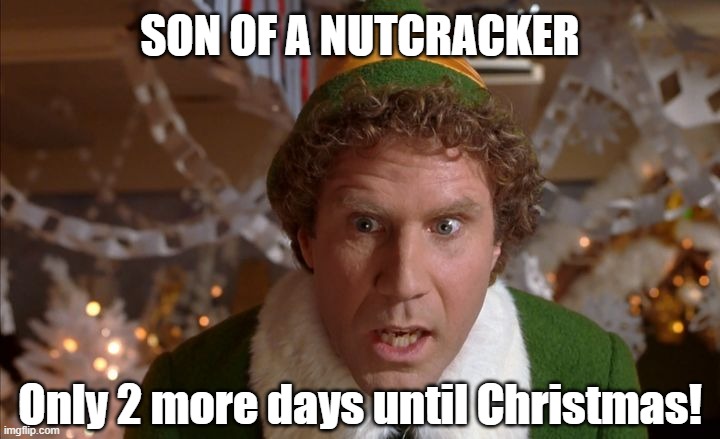 Buddy the Elf | SON OF A NUTCRACKER; Only 2 more days until Christmas! | image tagged in buddy the elf | made w/ Imgflip meme maker