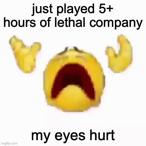 :nooo: | just played 5+ hours of lethal company; my eyes hurt | image tagged in nooo | made w/ Imgflip meme maker