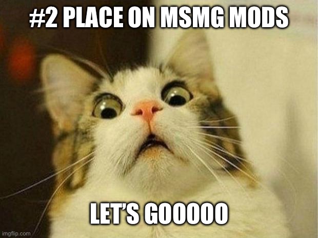Scared Cat | #2 PLACE ON MSMG MODS; LET’S GOOOOO | image tagged in memes,scared cat | made w/ Imgflip meme maker