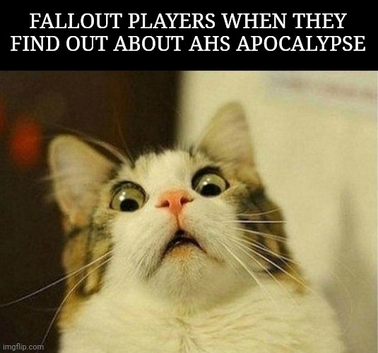 Scared Cat | FALLOUT PLAYERS WHEN THEY FIND OUT ABOUT AHS APOCALYPSE | image tagged in memes,scared cat | made w/ Imgflip meme maker