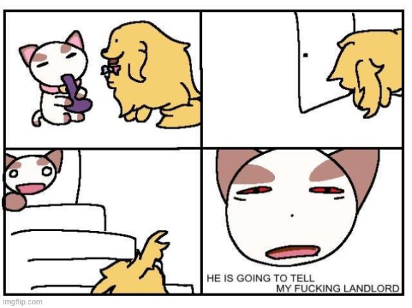 cat thought they was humans | made w/ Imgflip meme maker