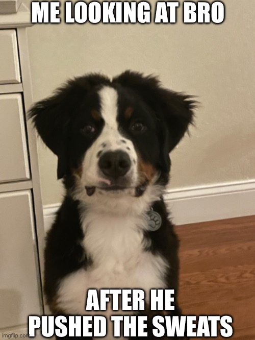 ME LOOKING AT BRO; AFTER HE PUSHED THE SWEATS | made w/ Imgflip meme maker