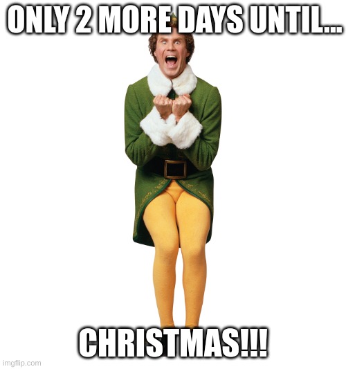 LET'S GO!! | ONLY 2 MORE DAYS UNTIL... CHRISTMAS!!! | image tagged in christmas elf | made w/ Imgflip meme maker