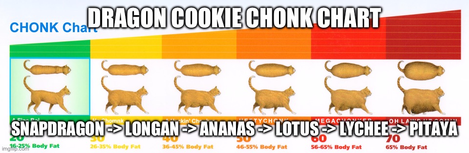Cookie Run Dragon Cookie Chonk Chart | DRAGON COOKIE CHONK CHART; SNAPDRAGON -> LONGAN -> ANANAS -> LOTUS -> LYCHEE -> PITAYA | image tagged in chonk chart | made w/ Imgflip meme maker