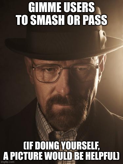 I'm not a pussy. I'll say smash and be honest | GIMME USERS TO SMASH OR PASS; (IF DOING YOURSELF, A PICTURE WOULD BE HELPFUL) | image tagged in walter white | made w/ Imgflip meme maker
