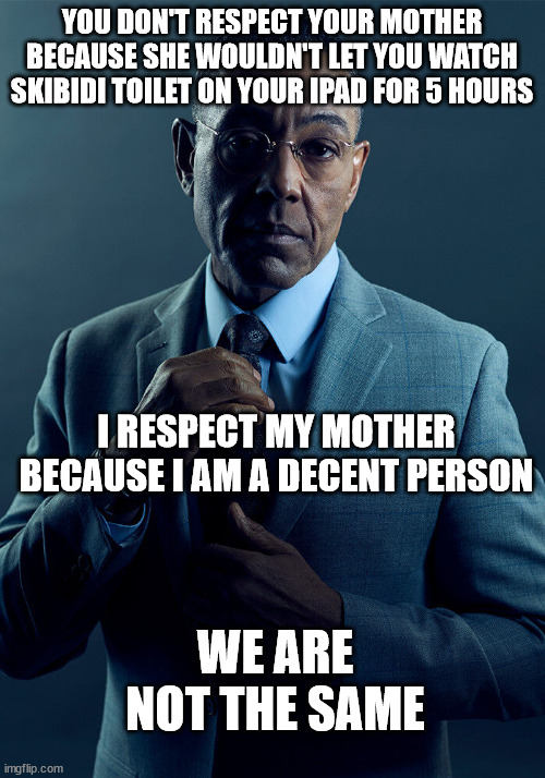 Anyone else tired of the Skibidi toilet Ipad kid combo? | YOU DON'T RESPECT YOUR MOTHER BECAUSE SHE WOULDN'T LET YOU WATCH SKIBIDI TOILET ON YOUR IPAD FOR 5 HOURS; I RESPECT MY MOTHER BECAUSE I AM A DECENT PERSON; WE ARE NOT THE SAME | image tagged in gus fring we are not the same,mother | made w/ Imgflip meme maker