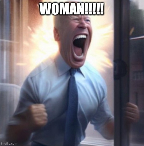 Biden Lets Go | WOMAN!!!!! | image tagged in biden lets go | made w/ Imgflip meme maker