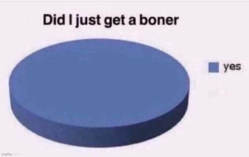 Did I just get a boner yes | image tagged in did i just get a boner yes | made w/ Imgflip meme maker