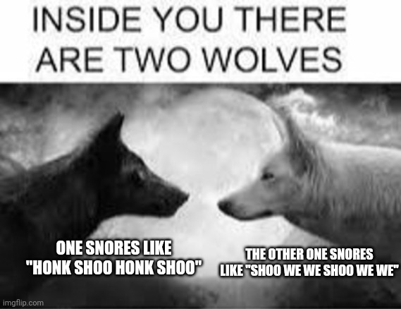 I have no words | THE OTHER ONE SNORES LIKE "SHOO WE WE SHOO WE WE"; ONE SNORES LIKE "HONK SHOO HONK SHOO" | image tagged in inside you there are two wolves | made w/ Imgflip meme maker