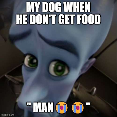 Pov: This is your dog | MY DOG WHEN HE DON'T GET FOOD; " MAN😭😭" | image tagged in megamind peeking,dogs,relatable memes | made w/ Imgflip meme maker