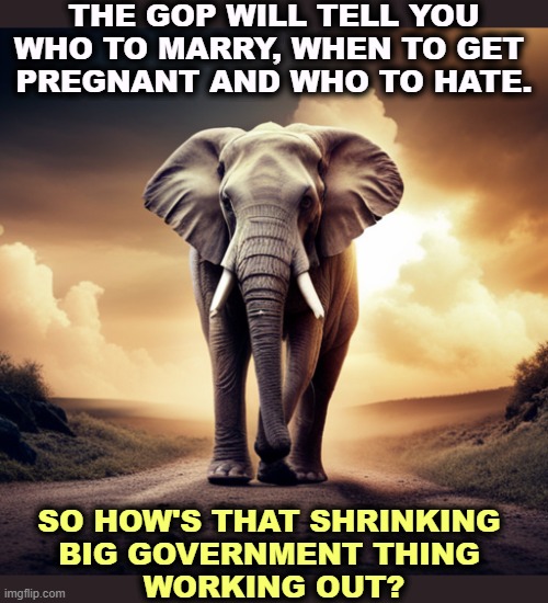 THE GOP WILL TELL YOU WHO TO MARRY, WHEN TO GET 
PREGNANT AND WHO TO HATE. SO HOW'S THAT SHRINKING 
BIG GOVERNMENT THING 
WORKING OUT? | image tagged in republicans,gop,marriage,pregnant,hate,big government | made w/ Imgflip meme maker