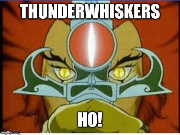 Thundercats | THUNDERWHISKERS; HO! | image tagged in thundercats | made w/ Imgflip meme maker