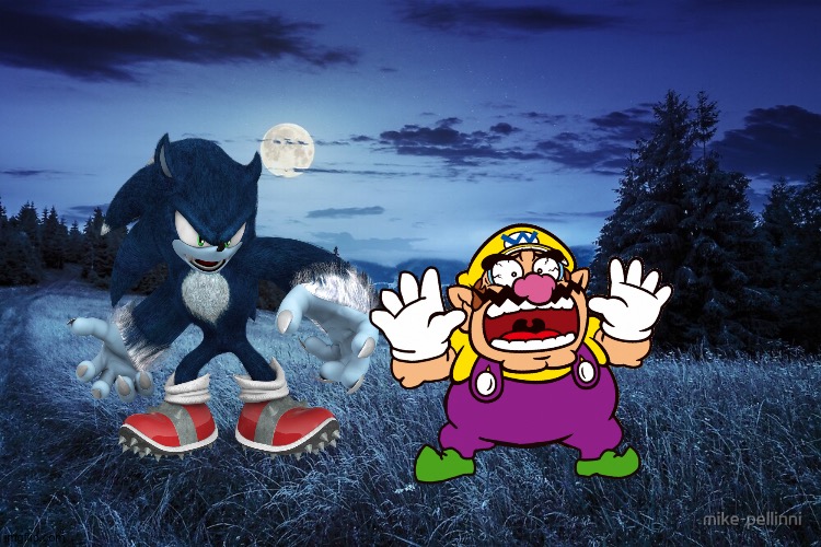 Wario dies by Sonic the Werehog | image tagged in meadow,wario dies,sonic the hedgehog,crossover | made w/ Imgflip meme maker